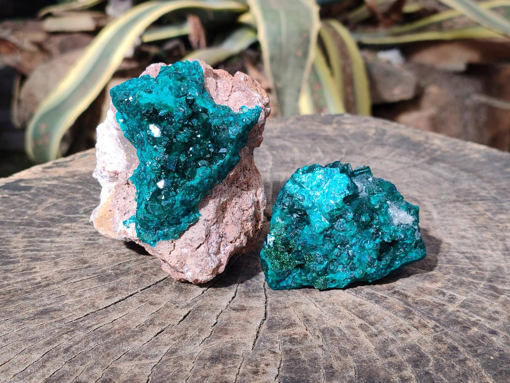 Natural Cabinet Dioptase on Dolomite Specimens x 2 From Likasi, Congo - Toprock Gemstones and Minerals 