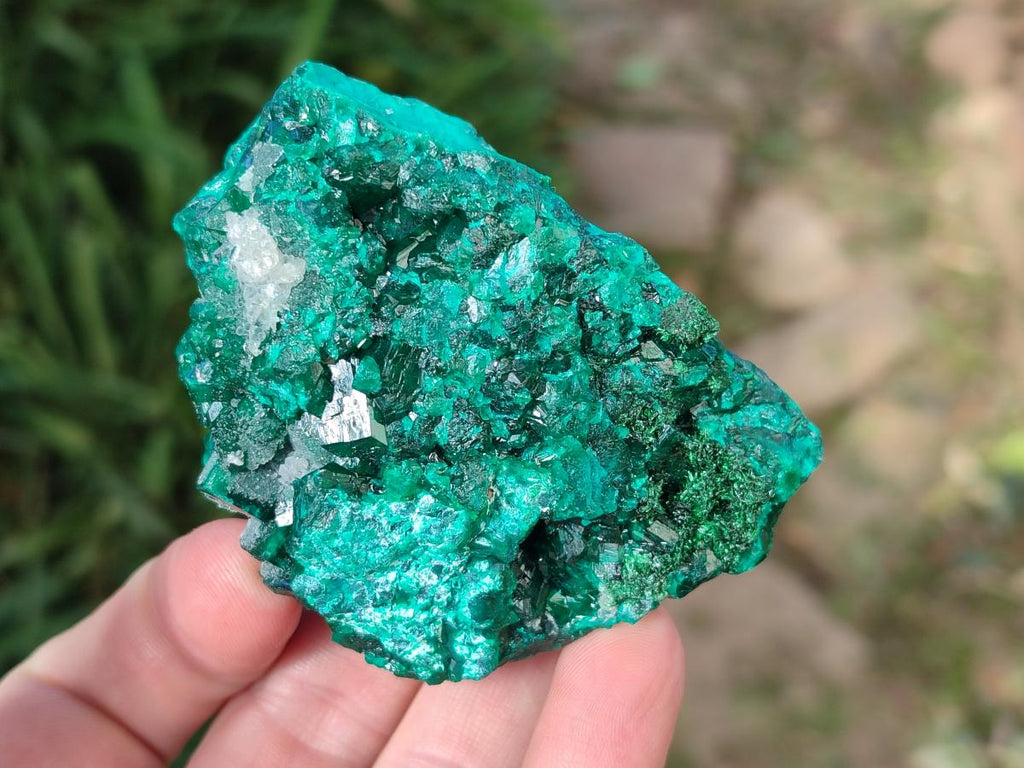 Natural Cabinet Dioptase on Dolomite Specimens x 2 From Likasi, Congo - Toprock Gemstones and Minerals 