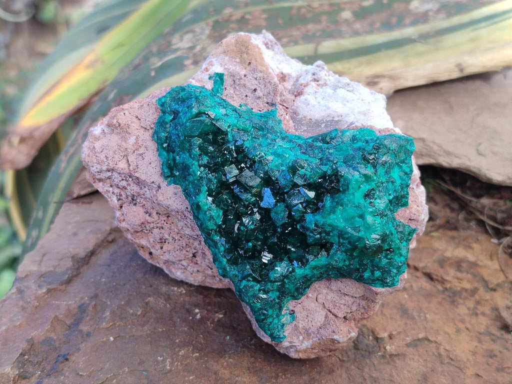 Natural Cabinet Dioptase on Dolomite Specimens x 2 From Likasi, Congo - Toprock Gemstones and Minerals 