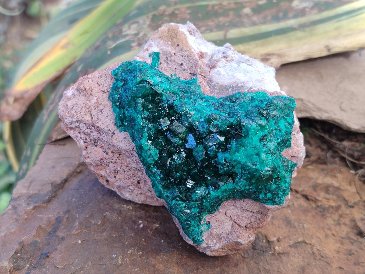 Natural Cabinet Dioptase on Dolomite Specimens x 2 From Likasi, Congo - Toprock Gemstones and Minerals 