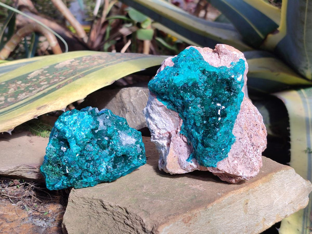 Natural Cabinet Dioptase on Dolomite Specimens x 2 From Likasi, Congo - Toprock Gemstones and Minerals 