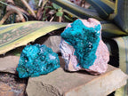 Natural Cabinet Dioptase on Dolomite Specimens x 2 From Likasi, Congo - Toprock Gemstones and Minerals 