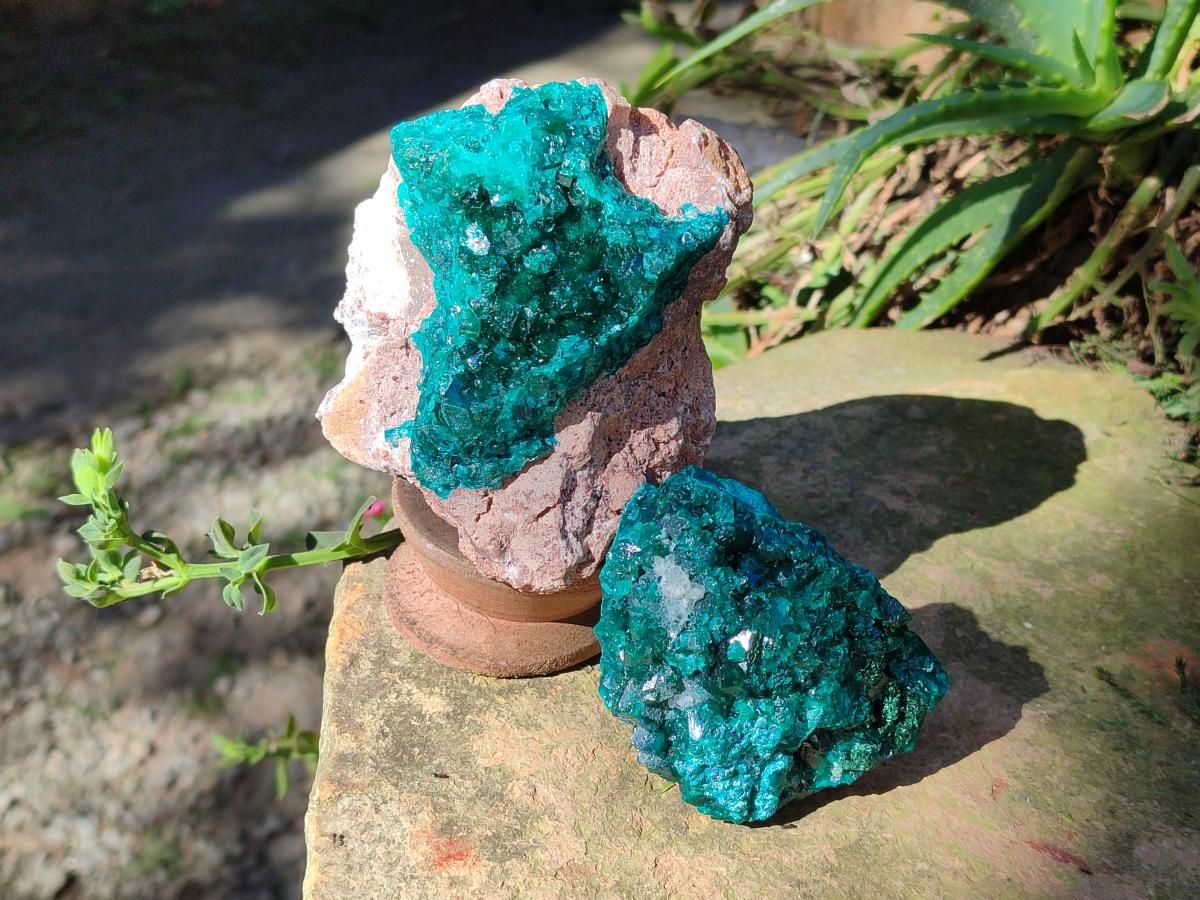 Natural Cabinet Dioptase on Dolomite Specimens x 2 From Likasi, Congo - Toprock Gemstones and Minerals 
