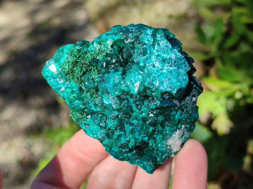 Natural Cabinet Dioptase on Dolomite Specimens x 2 From Likasi, Congo - Toprock Gemstones and Minerals 