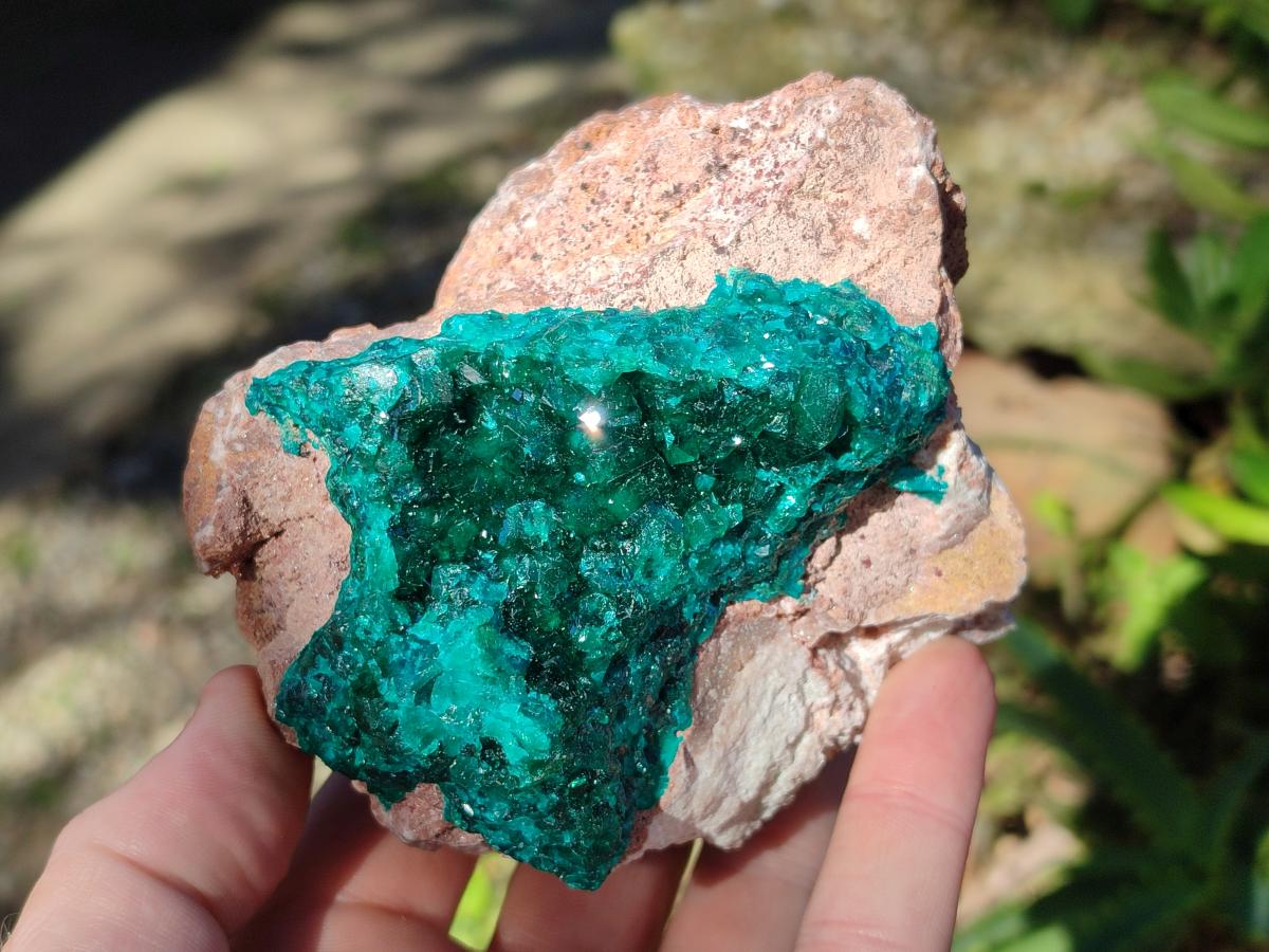 Natural Cabinet Dioptase on Dolomite Specimens x 2 From Likasi, Congo - Toprock Gemstones and Minerals 
