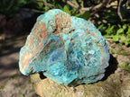 Natural Rough Shattuckite Specimens x 4 From Kaokoveld, Namibia - Toprock Gemstones and Minerals 