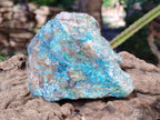 Natural Rough Shattuckite Specimens x 4 From Kaokoveld, Namibia - Toprock Gemstones and Minerals 