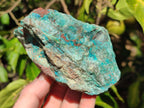 Natural Rough Shattuckite Specimens x 4 From Kaokoveld, Namibia - Toprock Gemstones and Minerals 