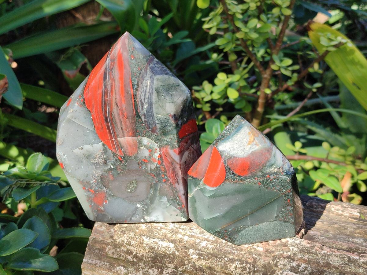 Polished Bloodstone Display Crystal Points x 2 From Swaziland - Toprock Gemstones and Minerals 