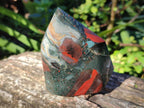 Polished Bloodstone Display Crystal Points x 2 From Swaziland - Toprock Gemstones and Minerals 