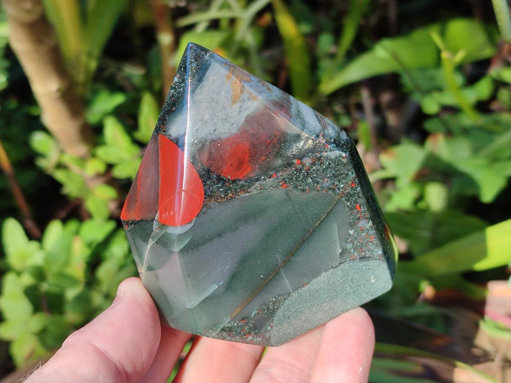 Polished Bloodstone Display Crystal Points x 2 From Swaziland - Toprock Gemstones and Minerals 