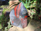 Polished Bloodstone Display Crystal Points x 2 From Swaziland - Toprock Gemstones and Minerals 