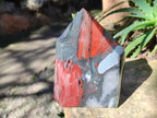 Polished Bloodstone Display Crystal Points x 2 From Swaziland - Toprock Gemstones and Minerals 