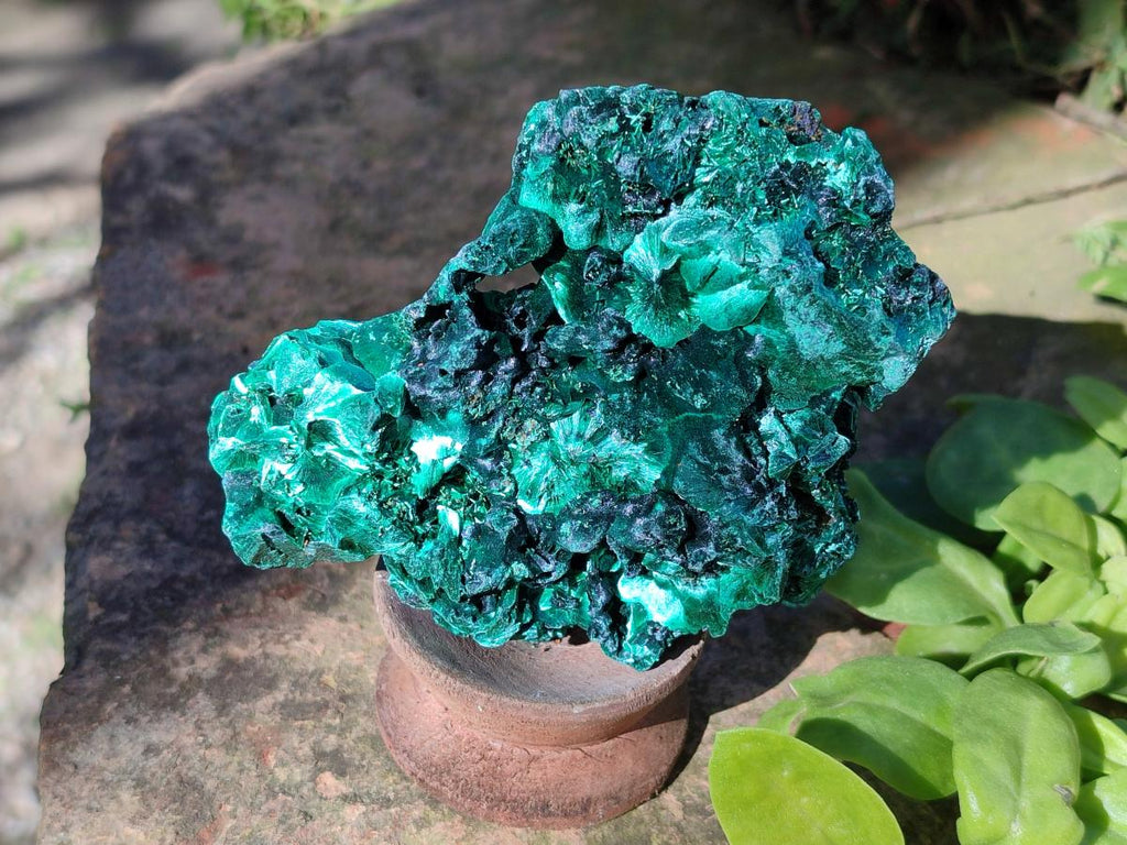 Natural Silky Malachite Specimens x 7 From Kasompe, Congo - Toprock Gemstones and Minerals 