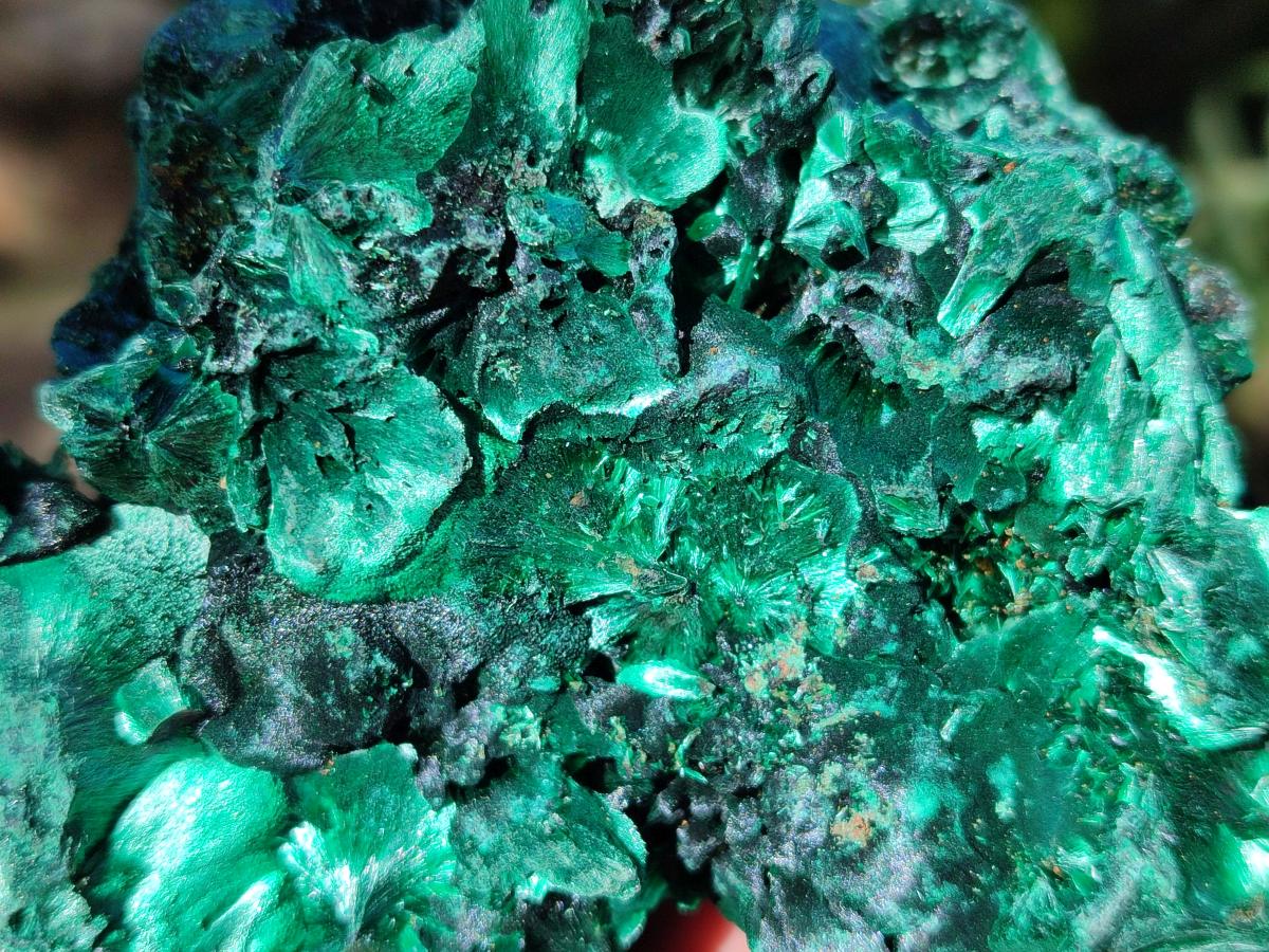 Natural Silky Malachite Specimens x 7 From Kasompe, Congo - Toprock Gemstones and Minerals 