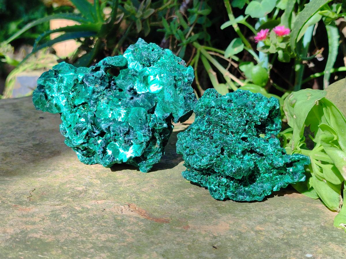 Natural Silky Malachite Specimens x 7 From Kasompe, Congo - Toprock Gemstones and Minerals 
