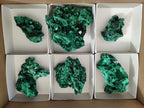 Natural Silky Malachite Specimens x 7 From Kasompe, Congo - Toprock Gemstones and Minerals 