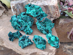 Natural Silky Malachite Specimens x 7 From Kasompe, Congo - Toprock Gemstones and Minerals 