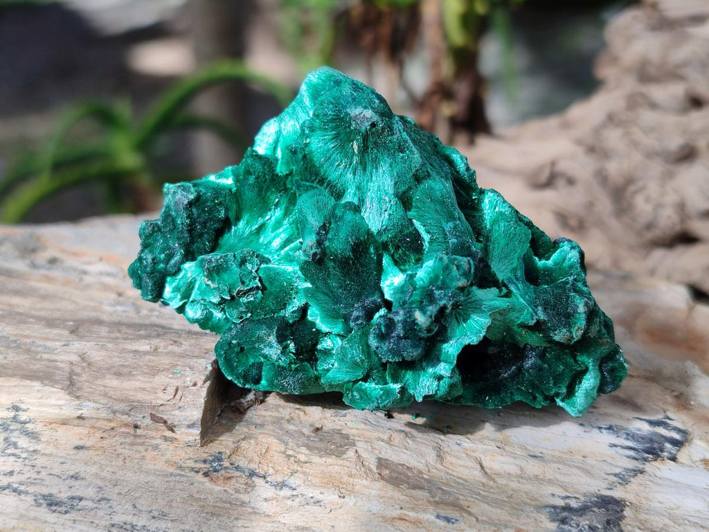 Natural Silky Malachite Specimens x 7 From Kasompe, Congo - Toprock Gemstones and Minerals 