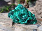 Natural Silky Malachite Specimens x 7 From Kasompe, Congo - Toprock Gemstones and Minerals 