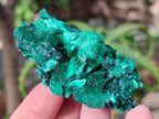 Natural Silky Malachite Specimens x 7 From Kasompe, Congo - Toprock Gemstones and Minerals 