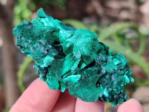 Natural Silky Malachite Specimens x 7 From Kasompe, Congo - Toprock Gemstones and Minerals 