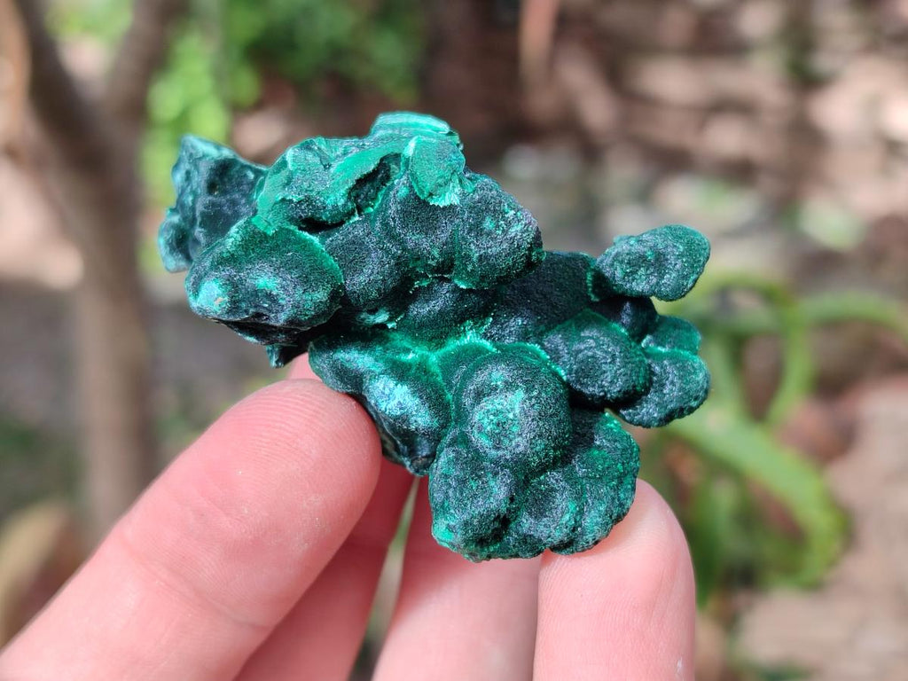 Natural Silky Malachite Specimens x 7 From Kasompe, Congo - Toprock Gemstones and Minerals 