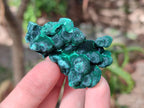 Natural Silky Malachite Specimens x 7 From Kasompe, Congo - Toprock Gemstones and Minerals 