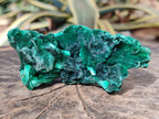 Natural Silky Malachite Specimens x 7 From Kasompe, Congo - Toprock Gemstones and Minerals 
