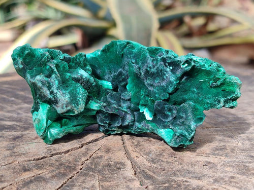 Natural Silky Malachite Specimens x 7 From Kasompe, Congo - Toprock Gemstones and Minerals 