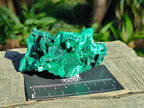 Natural Silky Malachite Specimens x 7 From Kasompe, Congo - Toprock Gemstones and Minerals 