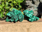 Natural Silky Malachite Specimens x 7 From Kasompe, Congo - Toprock Gemstones and Minerals 