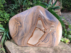 Polished XL Picture Stone Jasper Standing Display Piece x 1 From Ais-Ais, Namibia - Toprock Gemstones and Minerals 
