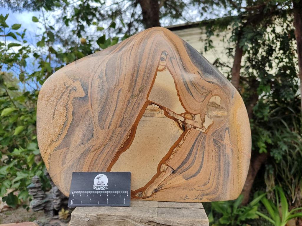 Polished XL Picture Stone Jasper Standing Display Piece x 1 From Ais-Ais, Namibia - Toprock Gemstones and Minerals 