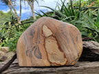 Polished XL Picture Stone Jasper Standing Display Piece x 1 From Ais-Ais, Namibia - Toprock Gemstones and Minerals 