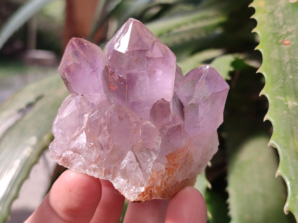 Natural Multi Mineral Crystals and Clusters x 67 From Southern Africa - Toprock Gemstones and Minerals 