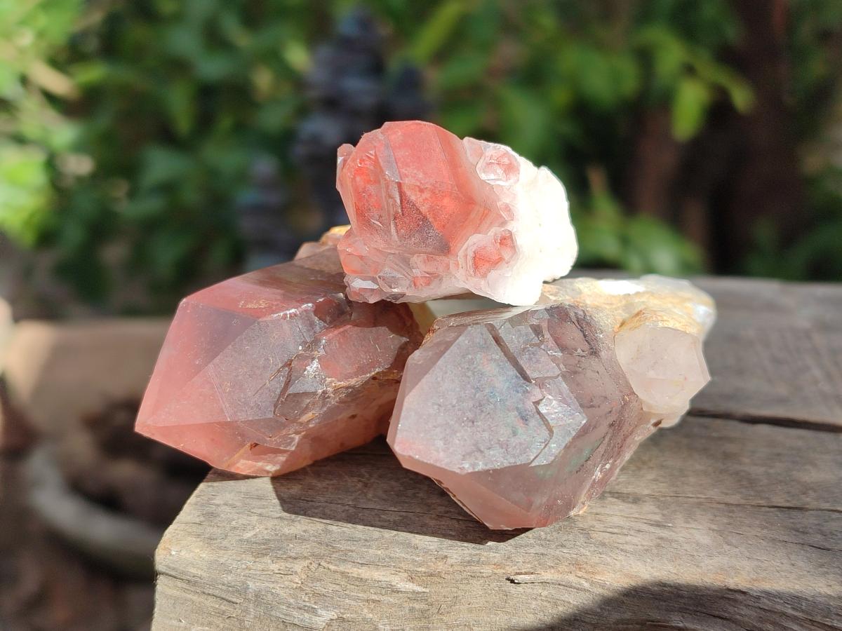 Natural Multi Mineral Crystals and Clusters x 67 From Southern Africa - Toprock Gemstones and Minerals 