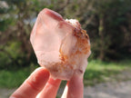Natural Multi Mineral Crystals and Clusters x 67 From Southern Africa - Toprock Gemstones and Minerals 