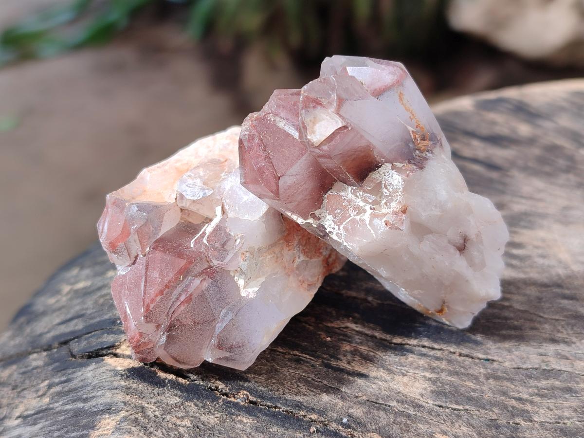 Natural Multi Mineral Crystals and Clusters x 67 From Southern Africa - Toprock Gemstones and Minerals 
