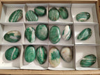 Polished Buddstone Galests x 18 From Swaziland - Toprock Gemstones and Minerals 