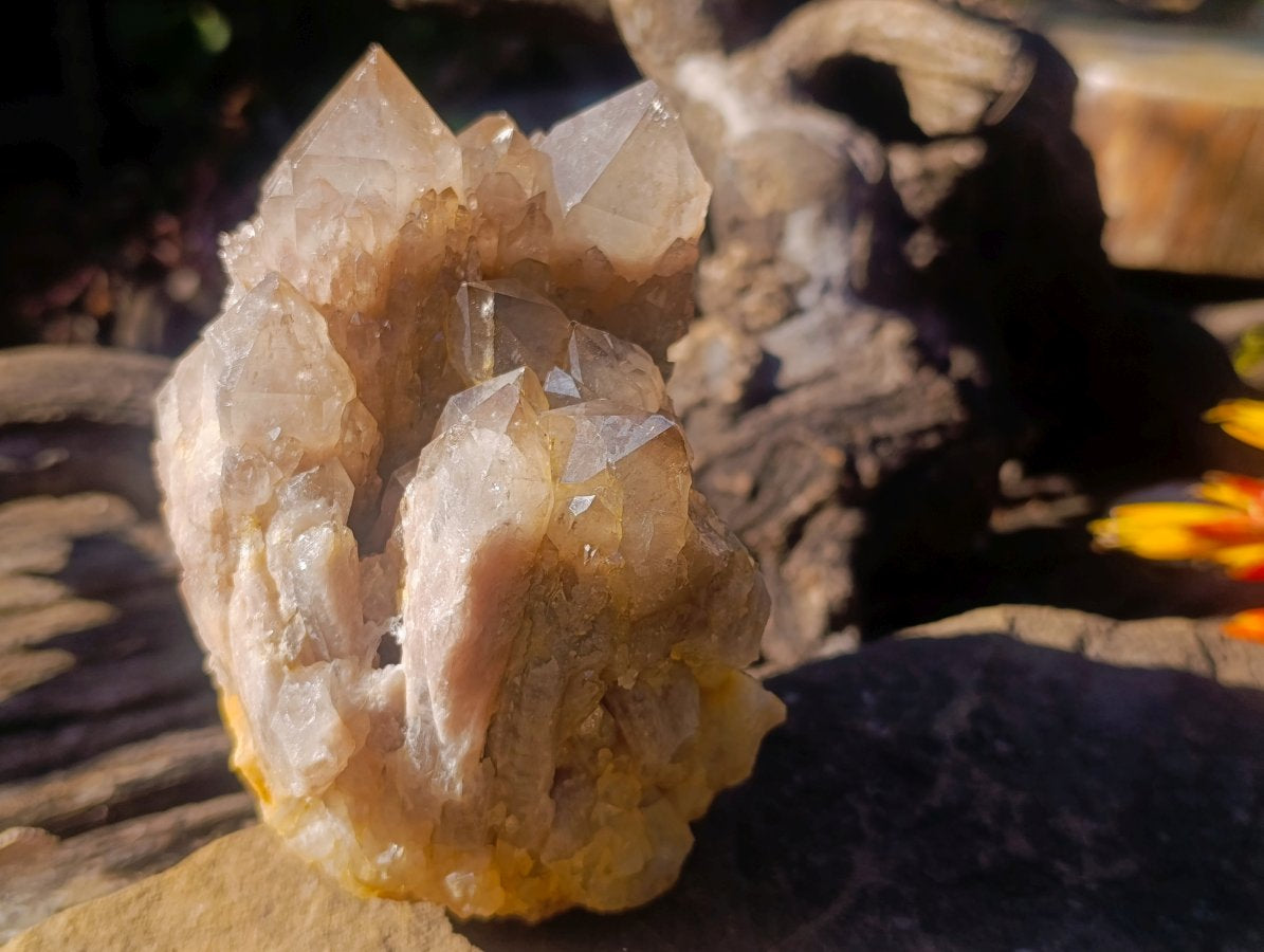 Natural Cascading White Phantom Smokey Luena Quartz Clusters x 2 From Luena, Congo - Toprock Gemstones and Minerals 