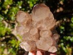 Natural Cascading White Phantom Smokey Luena Quartz Clusters x 2 From Luena, Congo - Toprock Gemstones and Minerals 