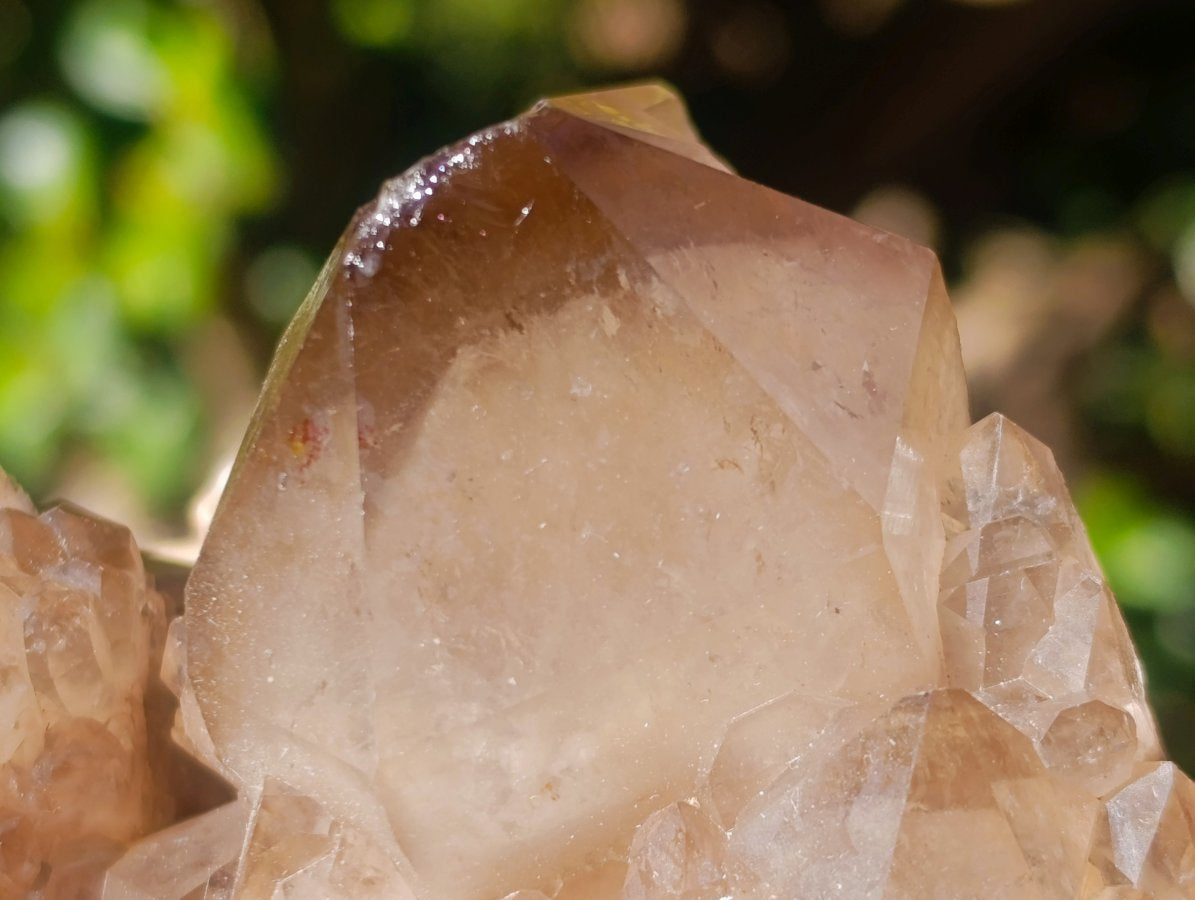 Natural Cascading White Phantom Smokey Luena Quartz Clusters x 2 From Luena, Congo - Toprock Gemstones and Minerals 