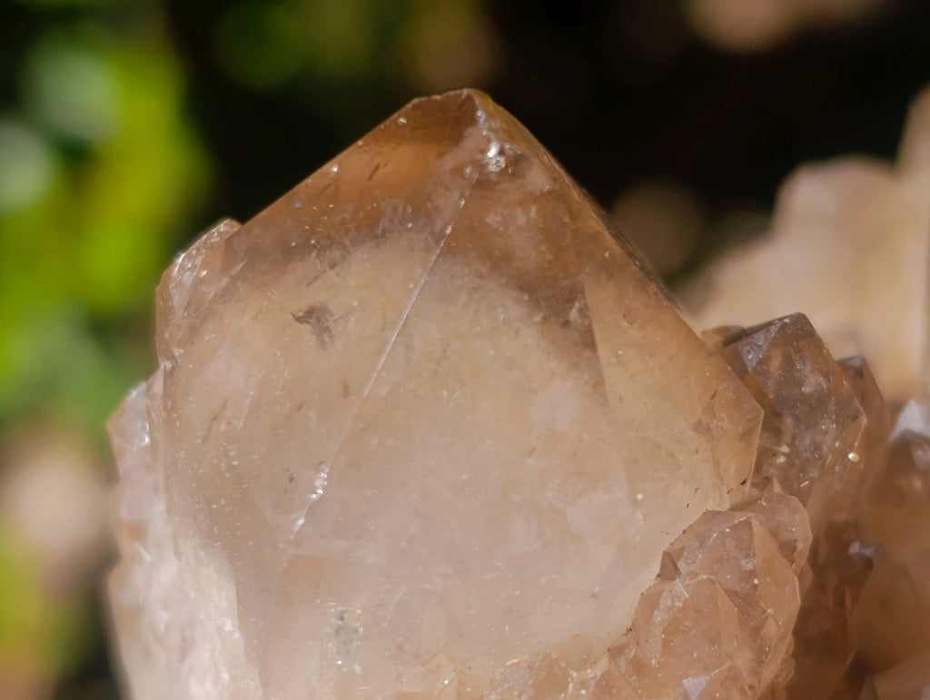 Natural Cascading White Phantom Smokey Luena Quartz Clusters x 2 From Luena, Congo - Toprock Gemstones and Minerals 