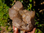 Natural Cascading White Phantom Smokey Luena Quartz Clusters x 2 From Luena, Congo - Toprock Gemstones and Minerals 