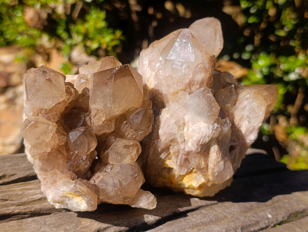 Natural Cascading White Phantom Smokey Luena Quartz Clusters x 2 From Luena, Congo - Toprock Gemstones and Minerals 