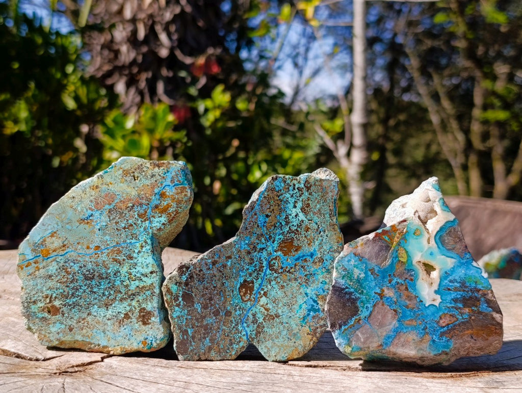 Polished on One Side Shattuckite Free Forms x 12 From Kaokoveld, Namibia - Toprock Gemstones and Minerals 