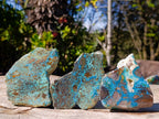 Polished on One Side Shattuckite Free Forms x 12 From Kaokoveld, Namibia - Toprock Gemstones and Minerals 