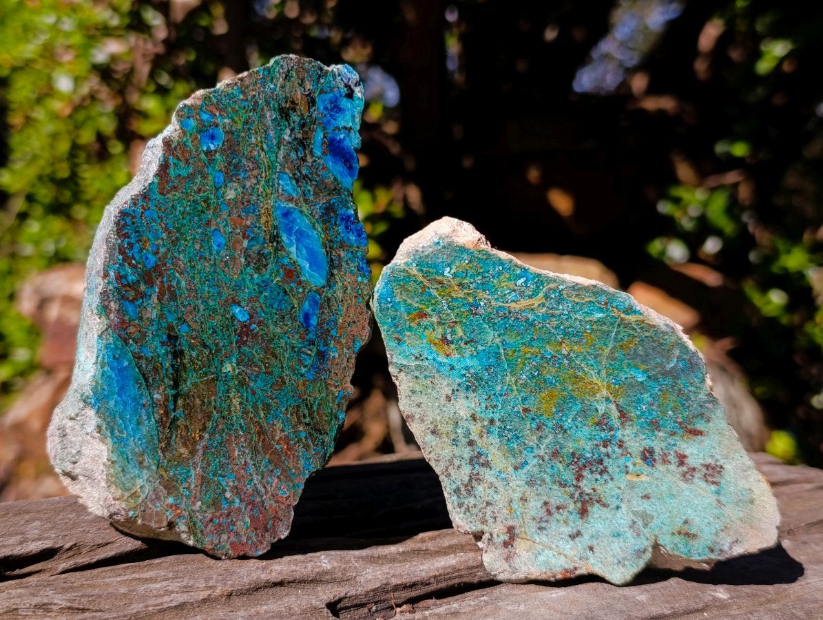 Polished on One Side Shattuckite Free Forms x 12 From Kaokoveld, Namibia - Toprock Gemstones and Minerals 