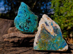 Polished on One Side Shattuckite Free Forms x 12 From Kaokoveld, Namibia - Toprock Gemstones and Minerals 